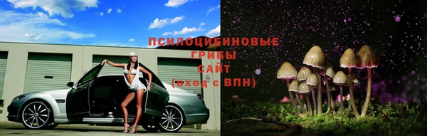 мескалин Белокуриха