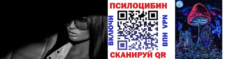 Галлюциногенные грибы мицелий  Купить закладки  Мураши 